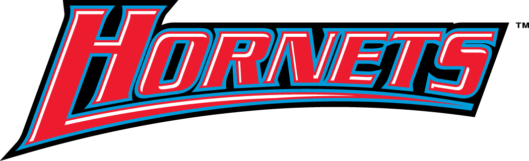 Delaware State Hornets 2004-Pres Wordmark Logo v3 iron on transfers for fabric
